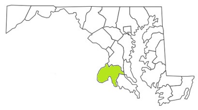 charles county maryland fire, fire departments in charles county, charles county md fire stations, volunteer fire department, charles county maryland, charles fire station numbers, charles county fire jobs, charles county live dispatch, charles county fire departments, charles county ems, charles county ambulance