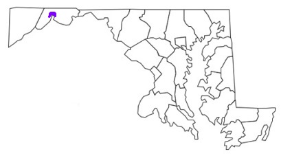 cumberland md fire stations, cumberland md fire apparatus, cumberland fire department, cumberland, cumberland maryland fire, cumberland fd, cumberland fire stations, cumberland fire apparatus, cumberland maryland, cumberland fire trucks, cumberland fire, city of cumberland maryland, cumberland ems, cumberland ambulance