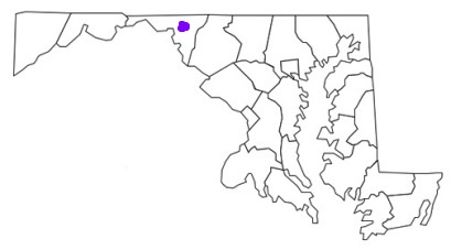 hagerstown md fire stations, hagerstown md fire apparatus, hagerstown fire department, hagerstown, hagerstown maryland fire, hagerstown fd, hagerstown fire stations, hagerstown fire apparatus, hagerstown maryland, hagerstown fire trucks, hagerstown fire, city of hagerstown maryland