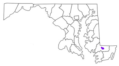 salisbury md fire stations, salisbury md fire apparatus, salisbury fire department, salisbury, salisbury maryland fire, salisbury fd, salisbury fire stations, salisbury fire apparatus, salisbury maryland, salisbury fire trucks, salisbury fire, city of salisbury maryland, salisbury ems, salisbury ambulance