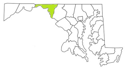 washington county maryland fire, fire departments in washington county, washington county md fire stations, volunteer fire department, washington county maryland, washington fire station numbers, washington county fire jobs, washington county live dispatch, washington county fire departments, washington county ems, washington county ambulance