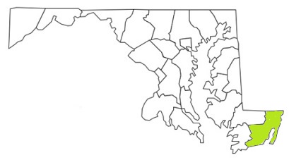 worcester county maryland fire, fire departments in worcester county, worcester county md fire stations, volunteer fire department, worcester county maryland, worcester fire station numbers, worcester county fire jobs, worcester county live dispatch, worcester county fire departments, worcester county ems, worcester county ambulance