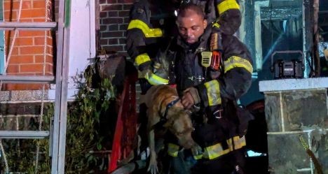 photo by Baltimore City Fire Department