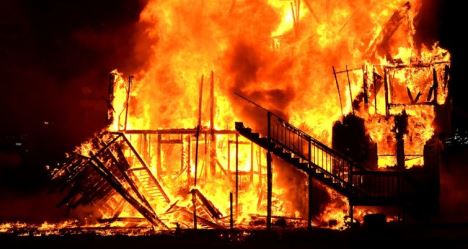 photo by Nevin Steffy