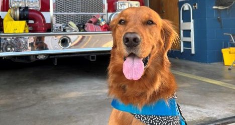 photo by Ocean City Fire Department