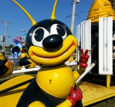 photo by Scott Schill