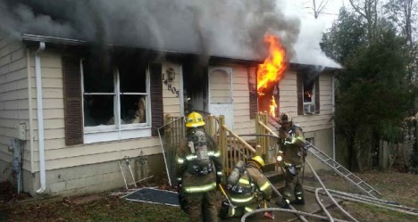 photo by Steve Sterns