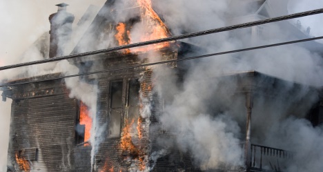 photo by Reinhard P Borchardt