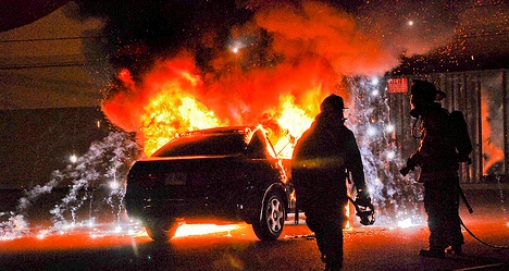 Laurel, photo by Kenny Rivera