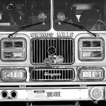 photo by David Starling